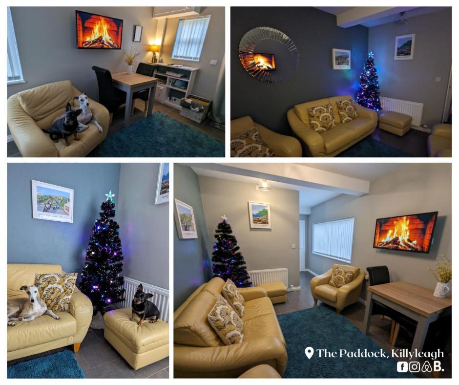 The Paddock Appartement Killyleagh Buitenkant foto