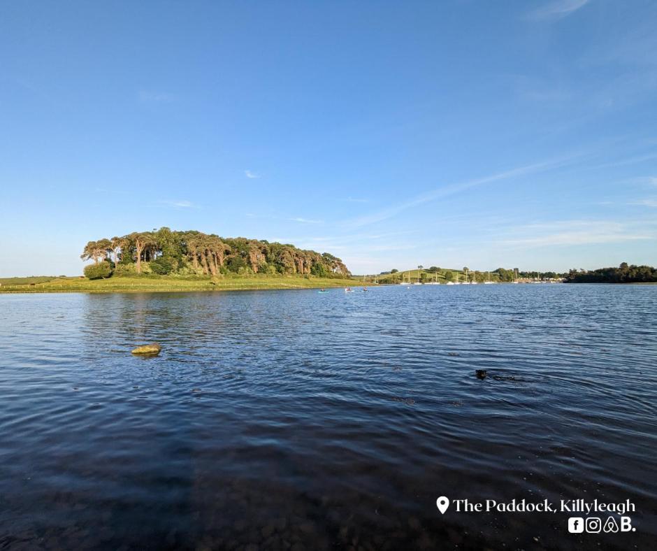 The Paddock Appartement Killyleagh Buitenkant foto